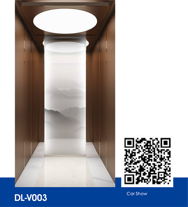 DL-V003