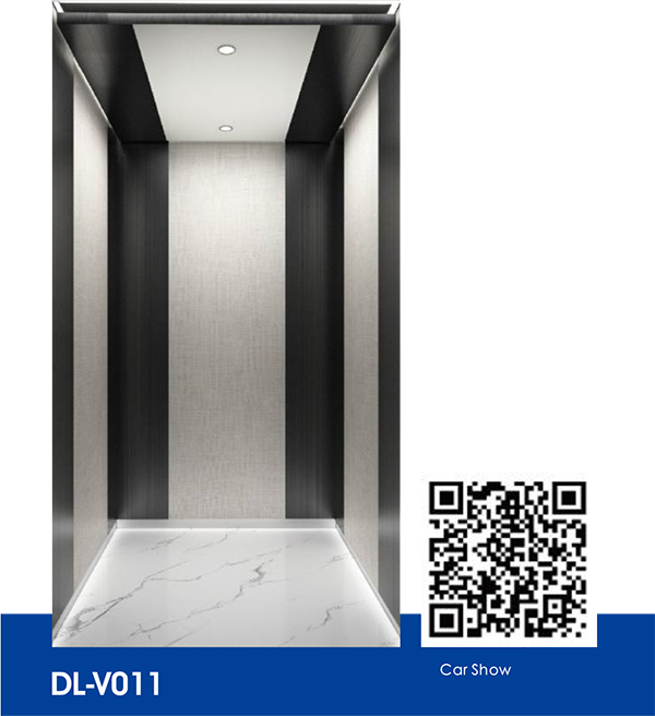 DL-V011