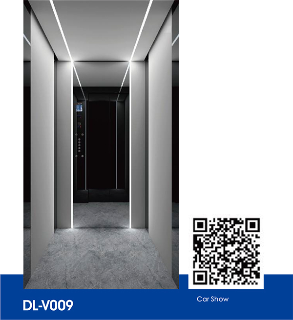 DL-V009