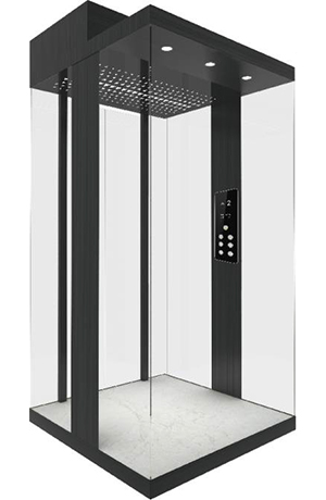DL-G101